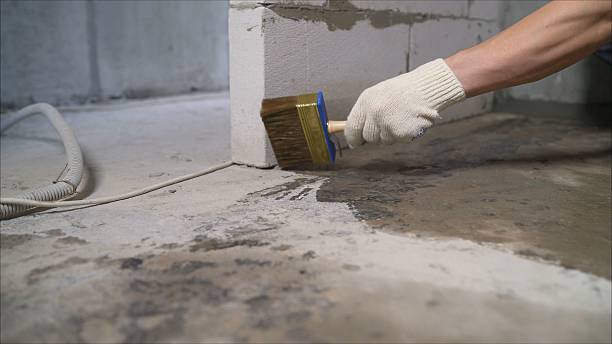 Top rated local Wet Basement Repair specialists in Mason, MI